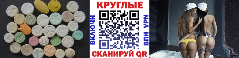 Ecstasy Philipp Plein  Купить где  Северская 