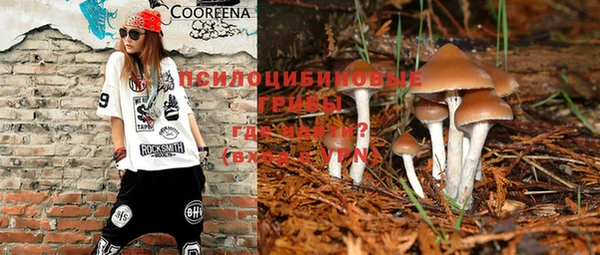 дмт Шарыпово