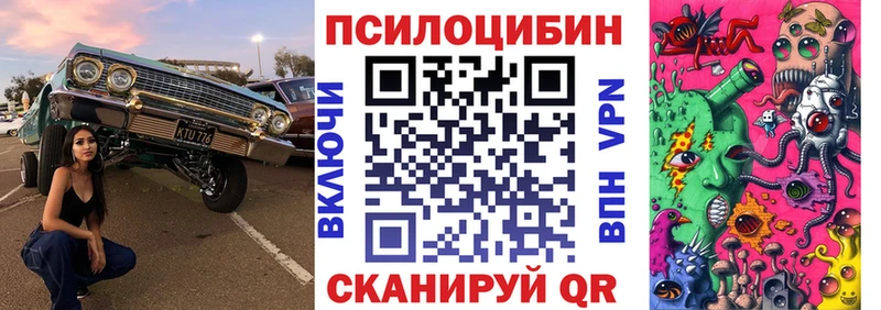 Купить  Северская  Галлюциногенные грибы Cubensis 